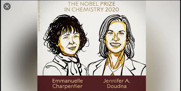 Nobel in Chemistry: Two win the 2020 Prize for work on genome