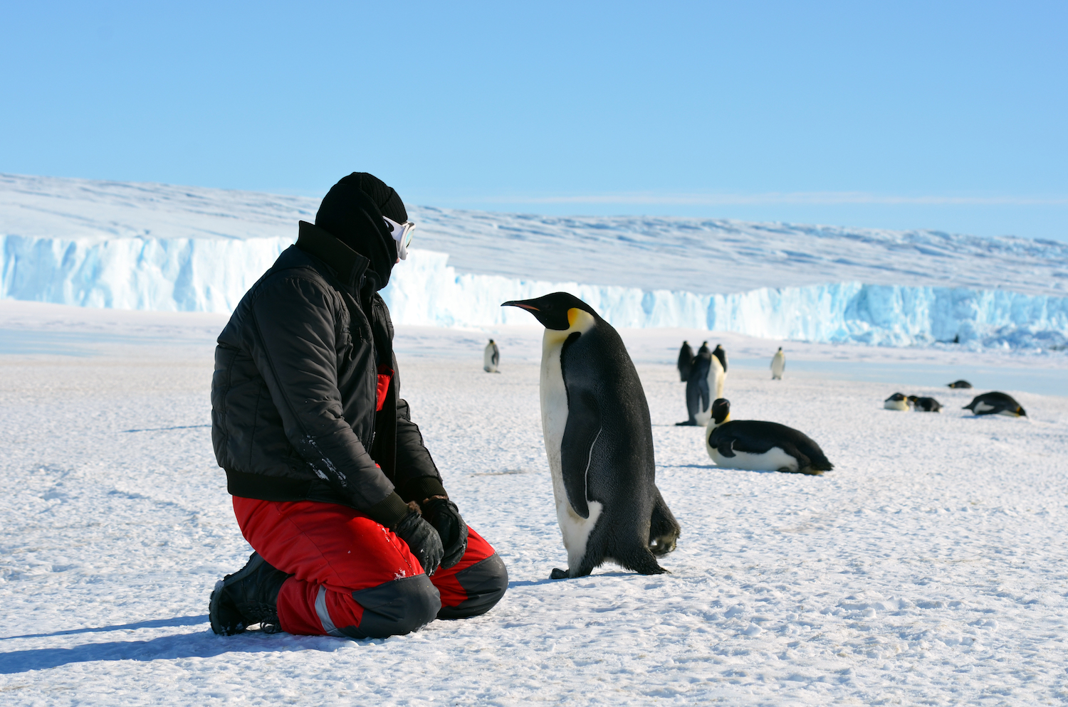 COVID Worries in Antarctica