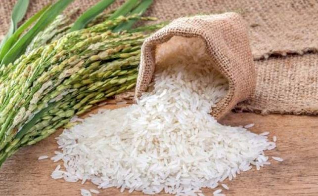 India restricts rice exports