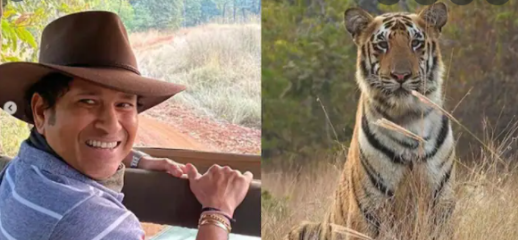 Tiger Day 2021: 14 Indian reserves get CATS certification