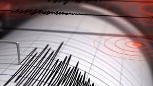 Tremors rock parts of Meghalaya and Rajasthan