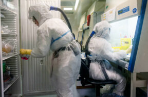 Laboratory Staff At The Pasteur Institute Work On The Coronavirus
