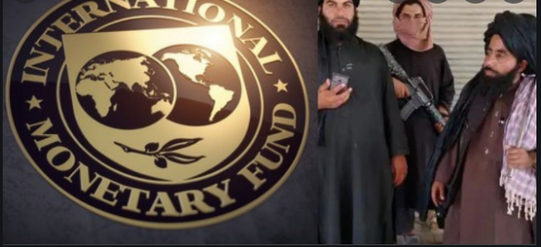Afghanistan: IMF suspends engagement with Taliban govt