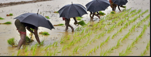 IMD predicts heavy rains in Southern India