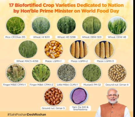 Agriculture: PM Modi launches 35 crop varieties to combat malnutrition, climate change