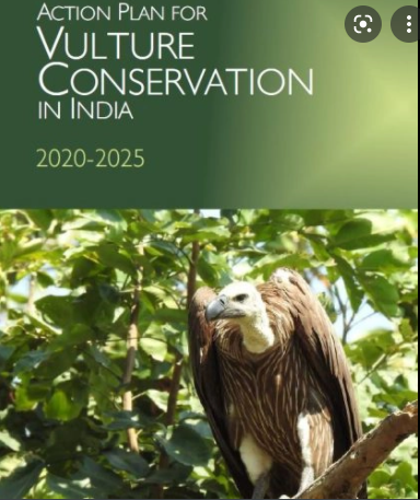 Wild life: Vulture conservation project proposed in Bihar