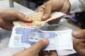 Revoi Pakistan Currency