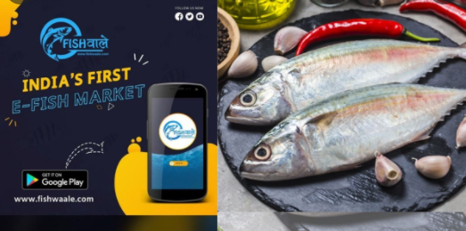 Fishwaale: India’s first e-fish marketing app launched in Assam