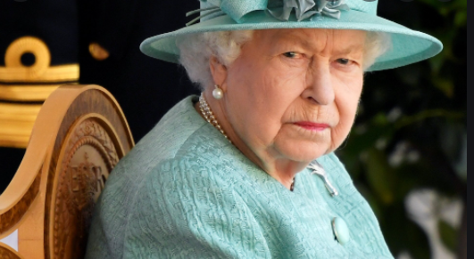 Oldie of the Year: Queen Elizabeth II, 95, declines the ‘honor’!