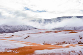gr-weather-sahara-desert-snow024a