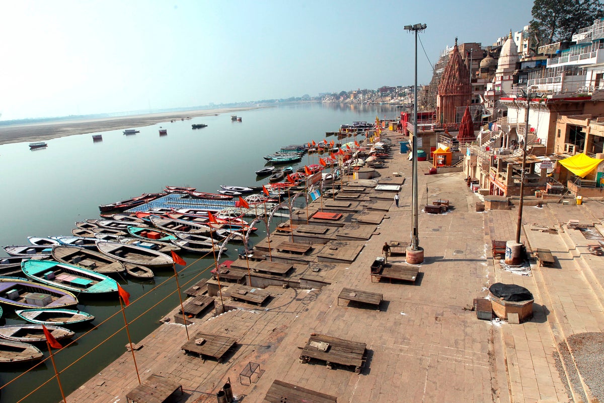 37 Bodies of Dead Cattle Found Floating in Ganga