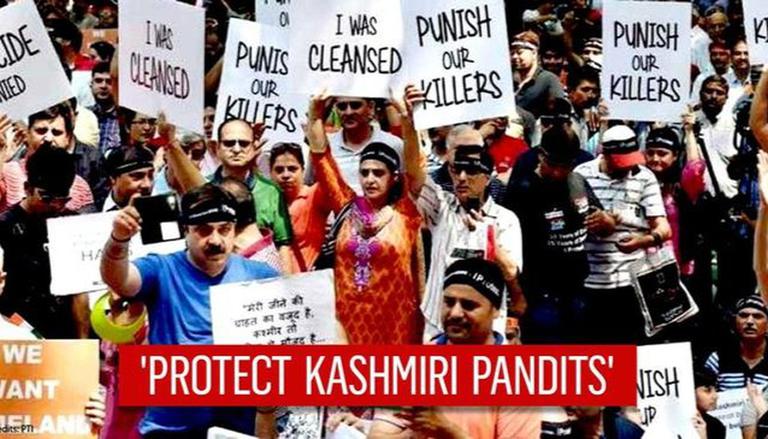 610 Kashmiri Pandits Restored their Lands: Govt