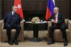 Presidents of Russia and Turkey meet in Sochi