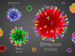 SARS-CoV-2, Covid-19 virus variants: alpha, beta, gamma, delta,