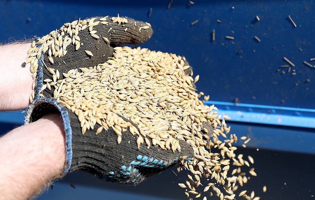 Russia can offer 25 mln tonnes of grain for export starting on August 1: UN