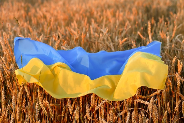 Over 35 percent production of wheat may decline in Ukraine: Report