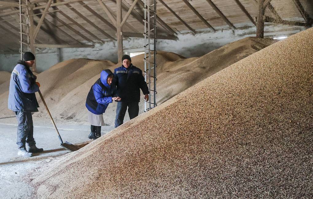 Russia is ready to export grain if the West lifts bans