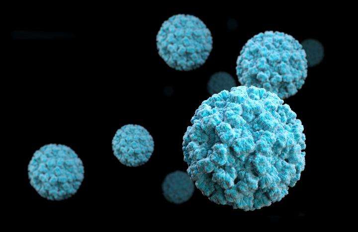 Two Norovirus cases Detect in Kerala: State Health Minister