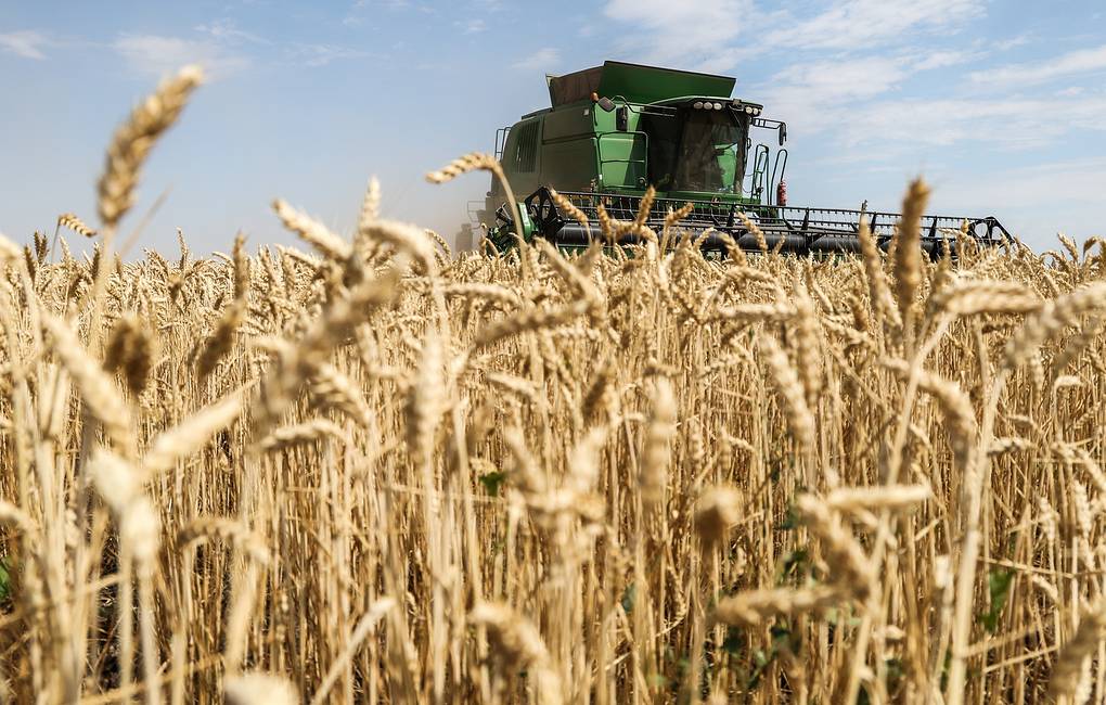 Agreement on Ukrainian grain exports expected to be signed in Istanbul