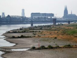 Low water level on Rhine river in Cologne