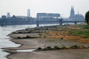 Low water level on Rhine river in Cologne