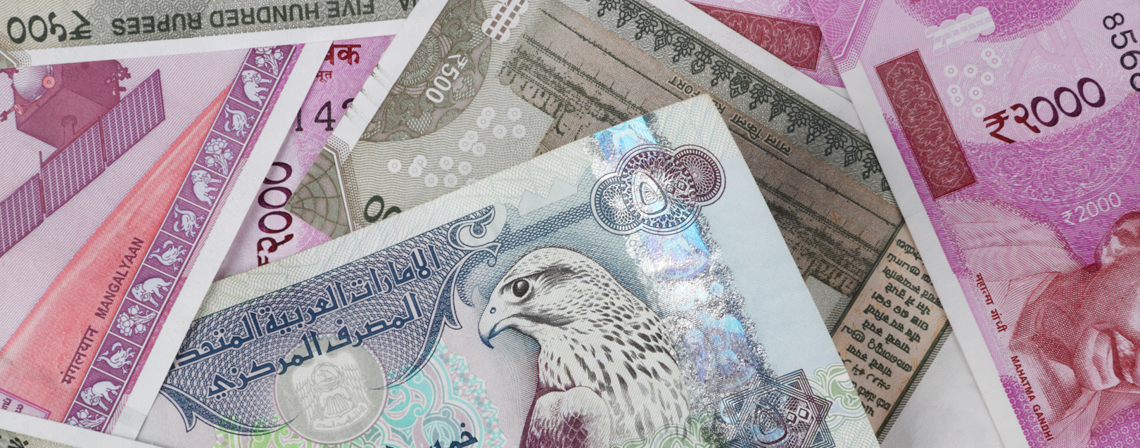 India and UAE could start trade in Rupee-Riyal in the upcoming months