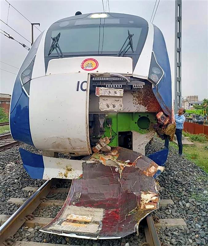 Vande Bharat Train Hits Herd of Buffaloes, Nose Damaged