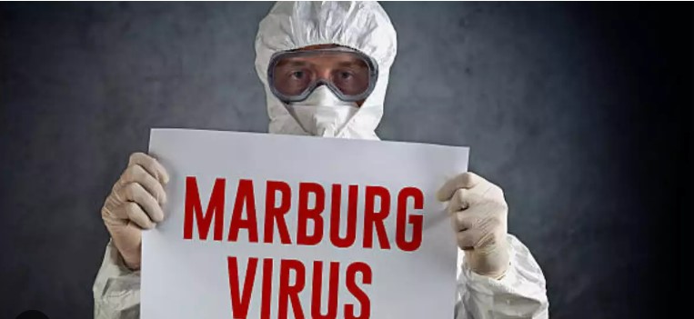 Another epidemic: Now, the WHO warns of Marburg virus that killed 9 in EG
