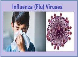 flu