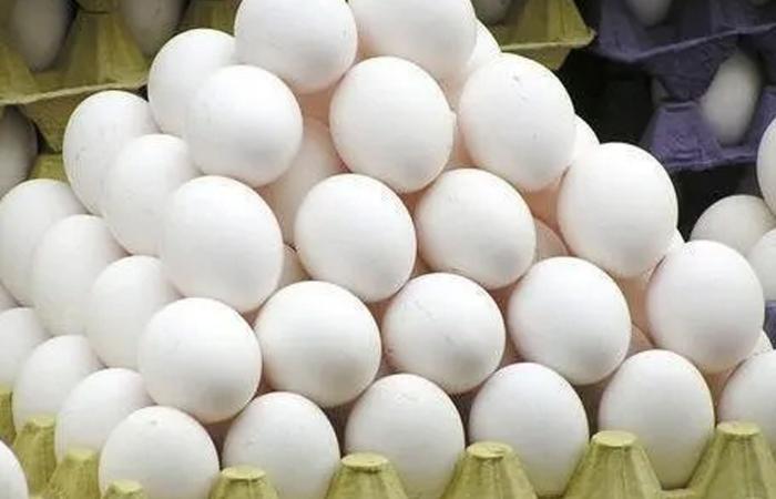 Economy: As demand grows, Sri Lanka is to import 1 mn eggs daily from India