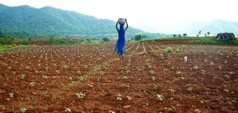 Weather: The driest August since 1901 causes concern for Indian agriculture