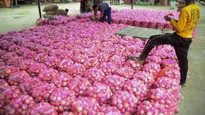 Centre Imposes 40 Per Cent Duty on Export of Onion