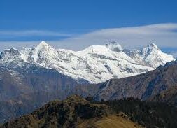 himalayan