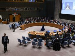 UN_Security_Council_59529