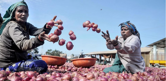 Onions: Ahead of LS polls, India bans the bulb’s export until March 2024