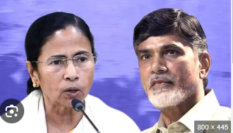 Chandrababu Naidu the Richest Chief Minister, Mamata Banerjee the Poorest: ADR