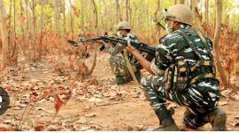 7 Maoists Killed in Chhattisgarh