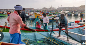 14 Tamil Nadu Fishermen Arrested by Sri Lanka  