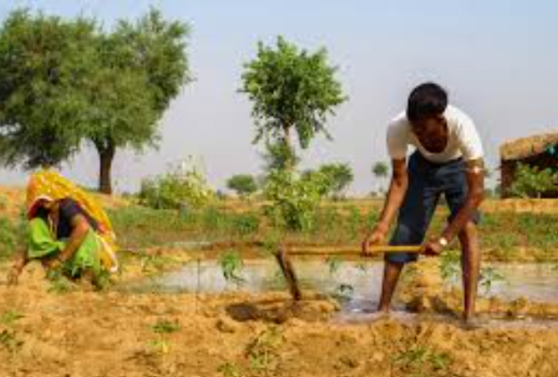 Agriculture: For small farmers, RBI raises the collateral-free loan limit to Rs. 2 lakh