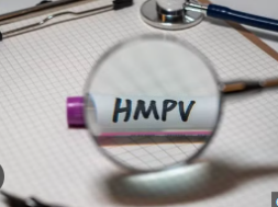 22 hmpv