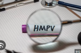 22 hmpv