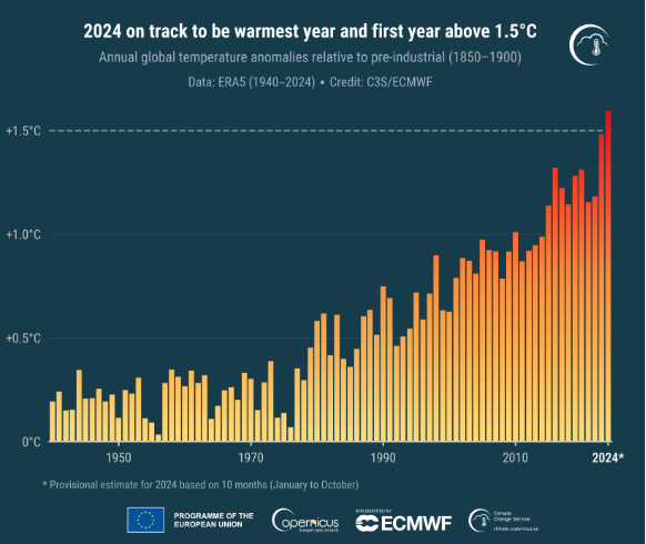 Global warming: 2024 India’s warmest year since 1901, says IMD