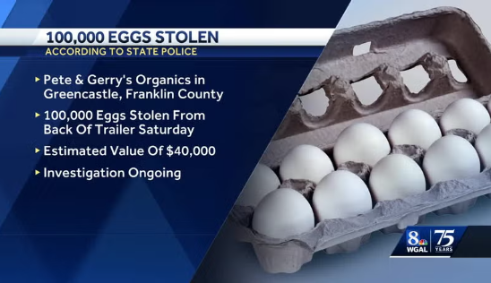 Bird flu: Amid shortages and rising prices, one lakh eggs stolen in the US!