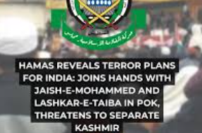 Screenshot 2025-05-08 185316