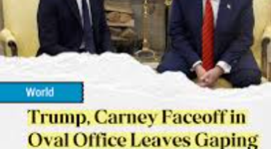 Screenshot 2025-07-11 173210