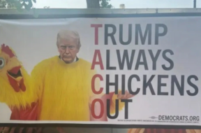 Screenshot 2025-07-31 171426