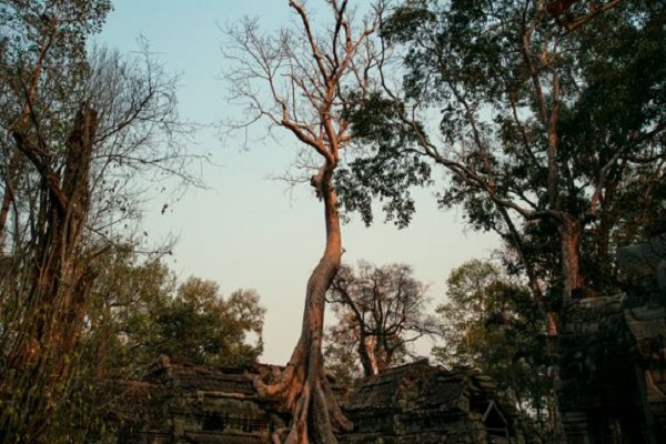 Thai-Cambodian fighting extends into third day despite ceasefire calls