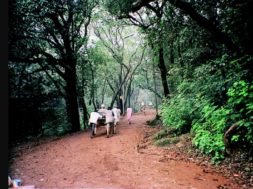 13 matheran