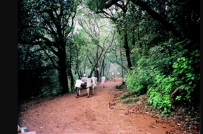 13 matheran