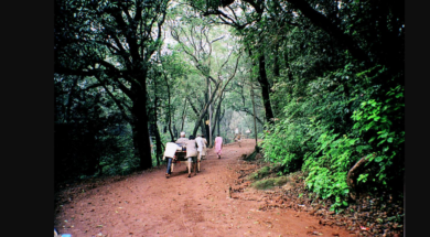 13 matheran